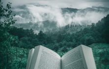 Edelstein Index by 1STone Fuerteventura