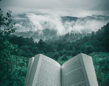 Edelstein Lexikon Indexe by 1STone Fuerteventura